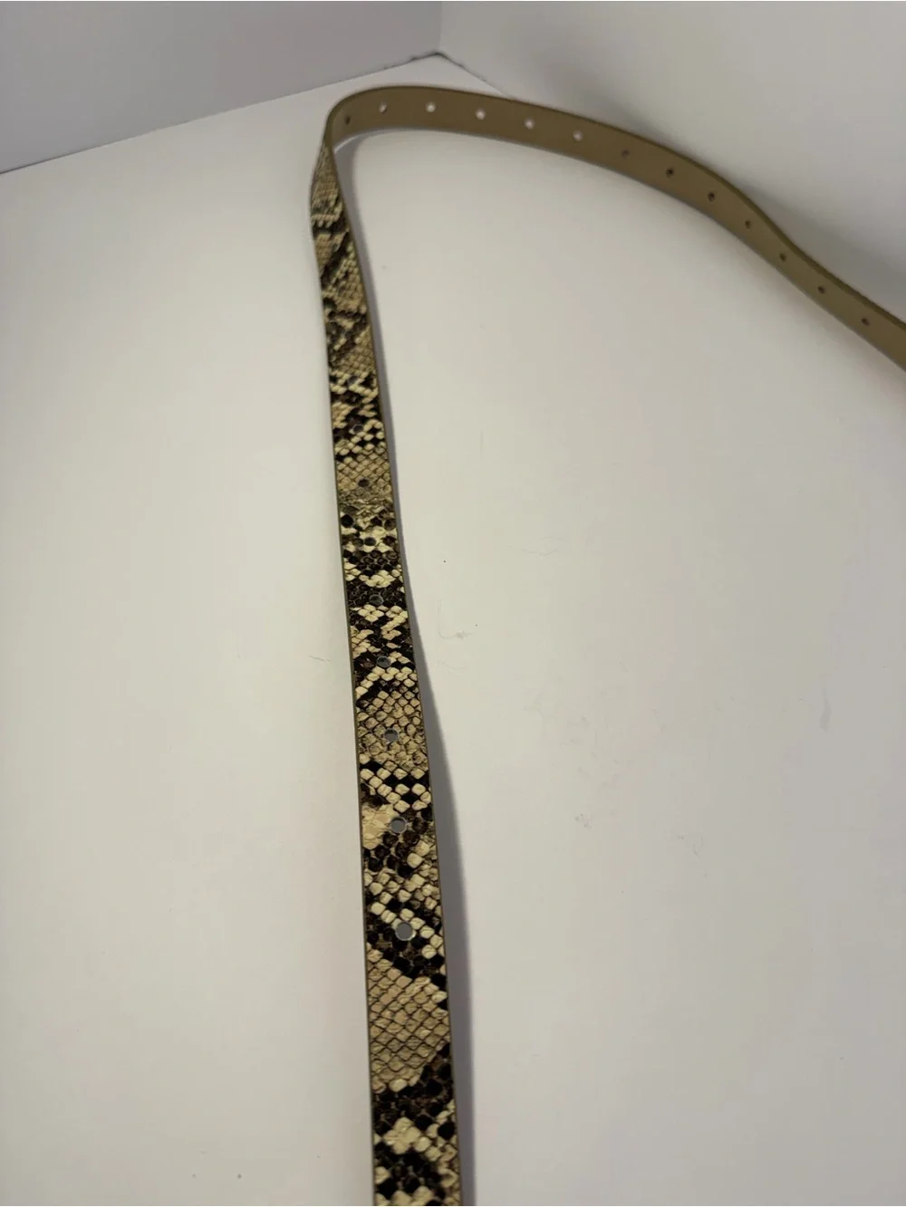 Chic Neutral Snakeskin Print Skinny Belt Silver Buckle